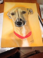 /album/galerie-photos/photo-1138-jpg/